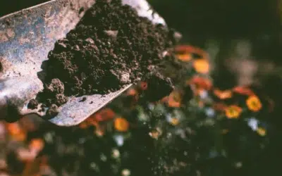 Bien Aménager son Jardin Grâce au Terrassement !