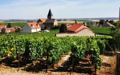 Construire son Habitation à Reims : Réglementations et Opportunités Locales !